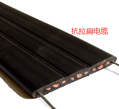 扁電纜TVVBPG-10*2.5