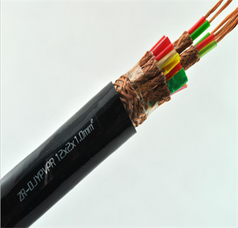 電子計(jì)算機(jī)多對(duì)屏蔽電纜DJYPV-1 DJYPV-2 DJYPV-3